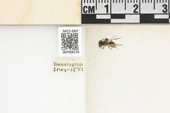 Media type: image;   Entomology 769574 Aspect: Labels